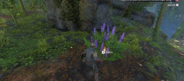Enshrouded Indigo Plants Locations and uses